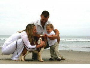 Badeurlaub mit Hund Badeurlaub mit Hund