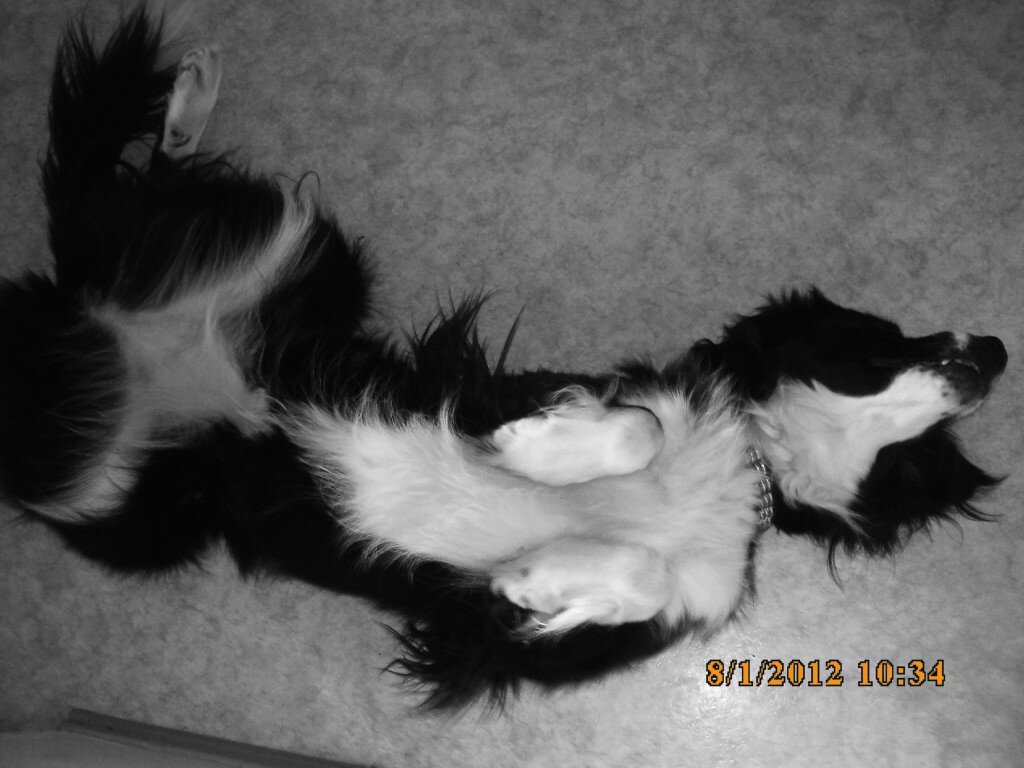 Lotti IMG_0041