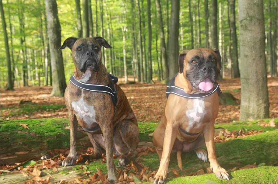 Foto der Woche1