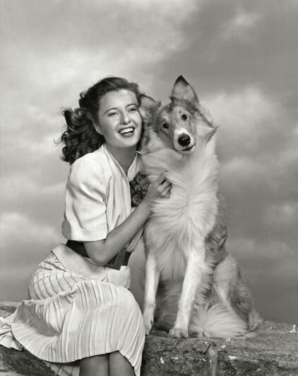 Lassie Stanwyk