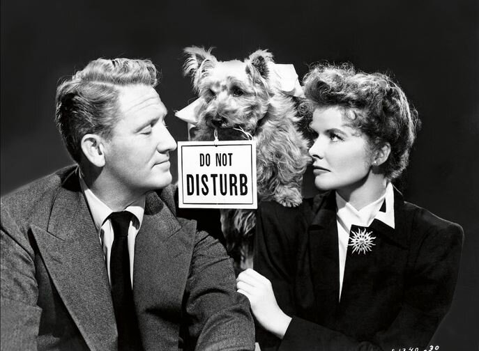 Spencer Traicy Audrey Hepburn