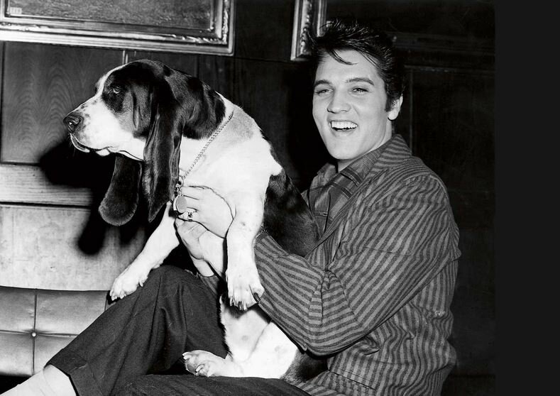 elvis Presley