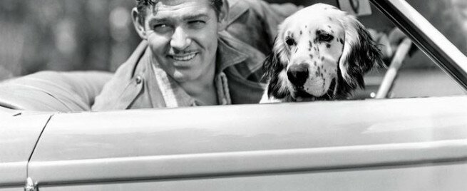 “Hollywood Dogs” – Filmstars und Ihre Hunde