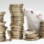 Stiftungen finanzieren Tierversuche